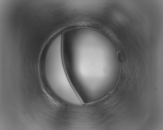 X0000073740722200608031109