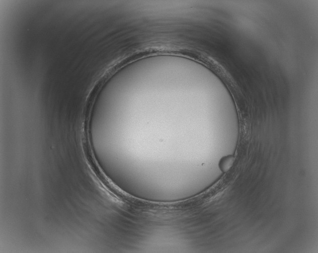 X0000073740725200608031109
