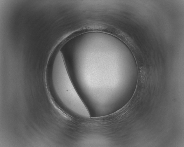 X0000073740726200608031109