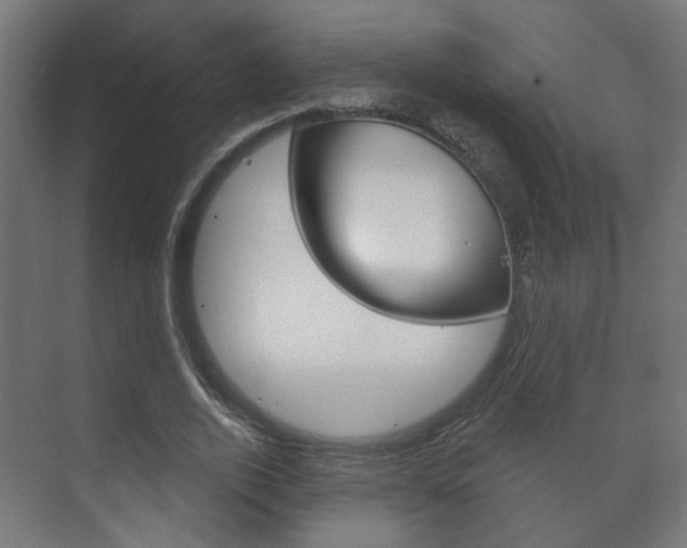 X0000073740728200608031109