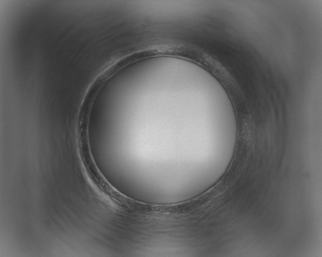 X0000073740730200608031109