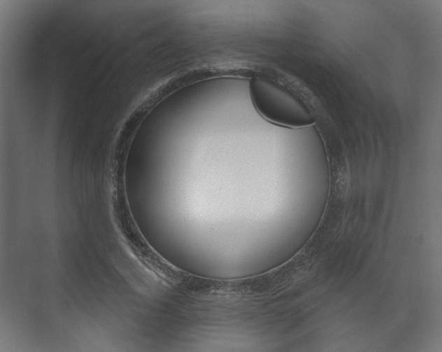 X0000073740732200608031109