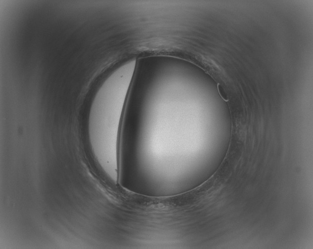 X0000073740735200608031109