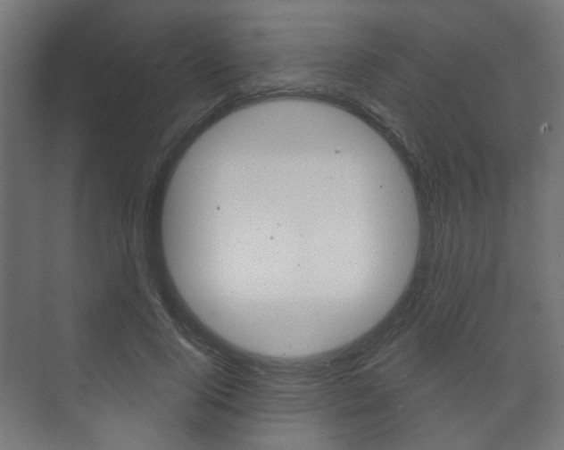 X0000073740740200608031109