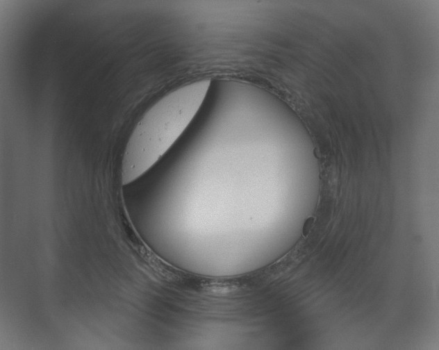 X0000073740746200608031109