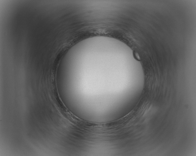 X0000073740747200608031109