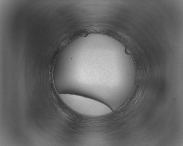 X0000073740749200608031109