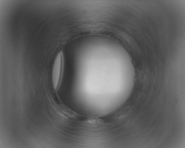 X0000073740752200608031109