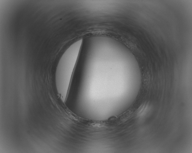 X0000073740755200608031109