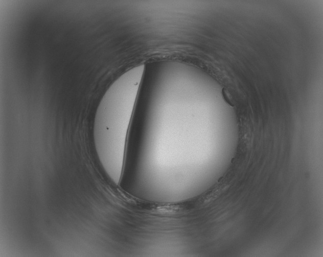 X0000073740758200608031109