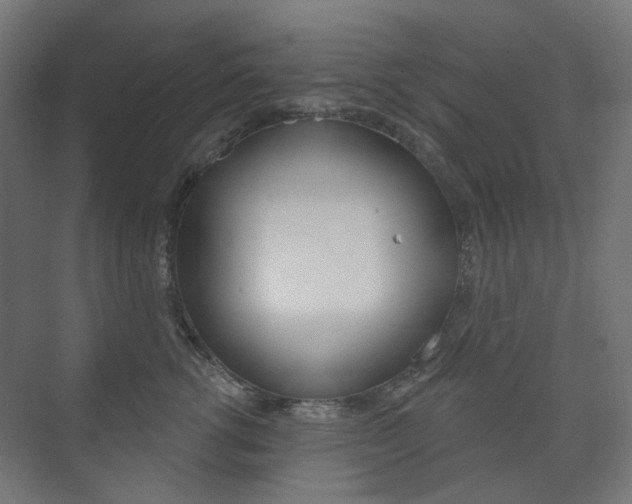 X0000073740762200608031109