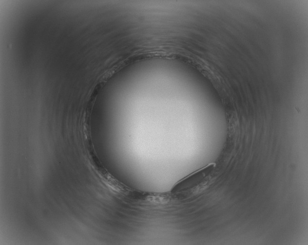 X0000073740764200608031109
