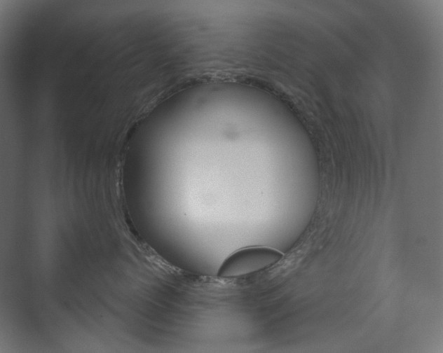 X0000073740768200608031109