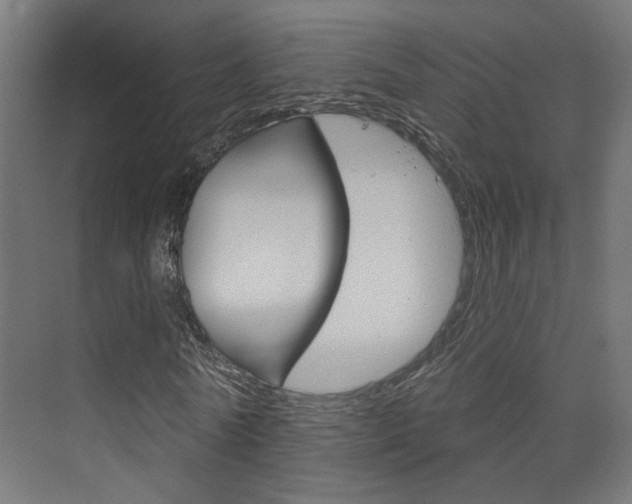 X0000073740770200608031109
