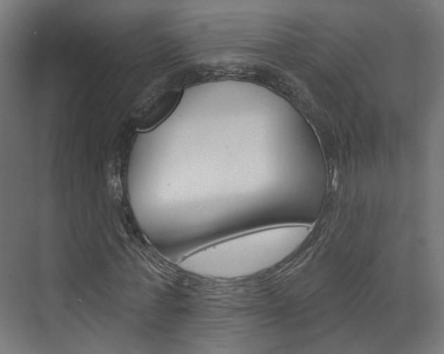 X0000073740771200608031108