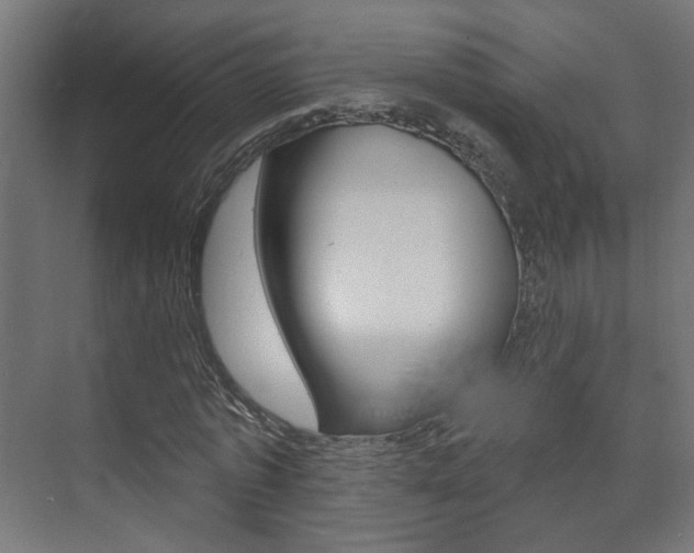 X0000073740773200608031108