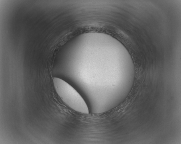 X0000073740774200608031108