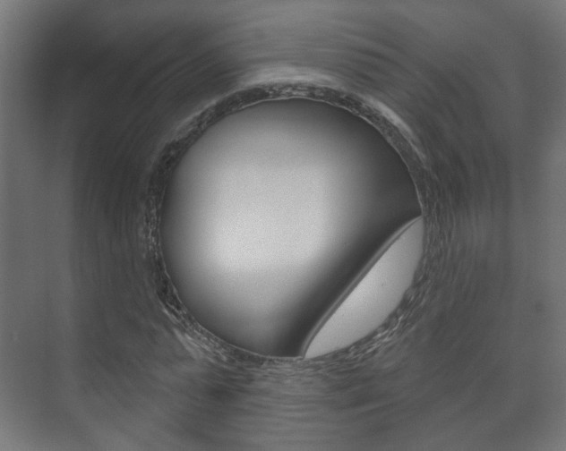 X0000073740775200608031108