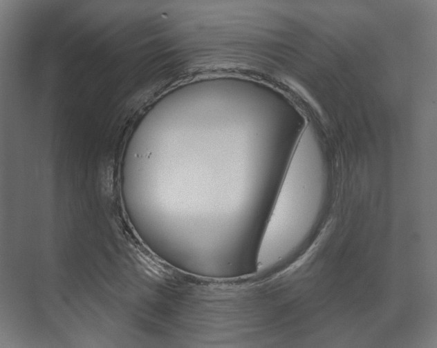 X0000073740777200608031108