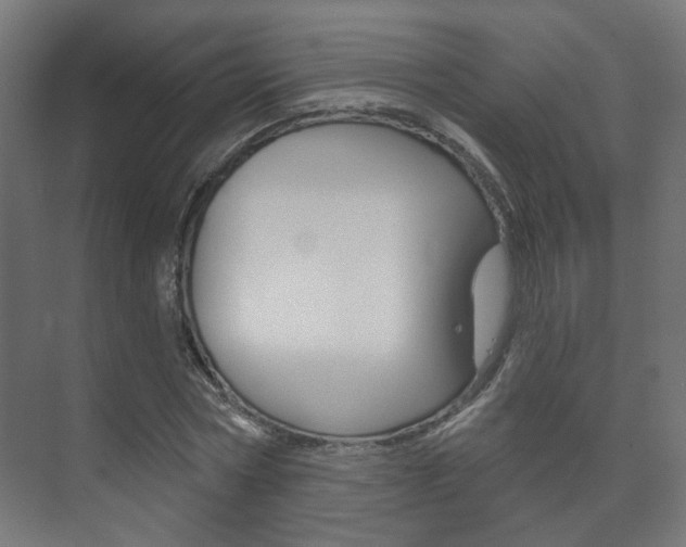 X0000073740778200608031108