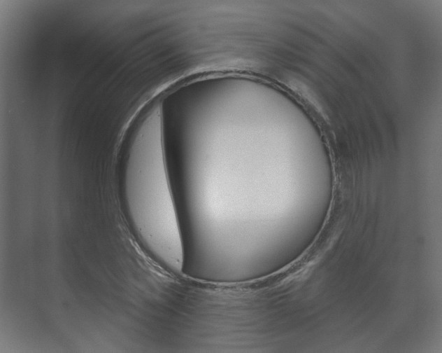 X0000073740781200608031108