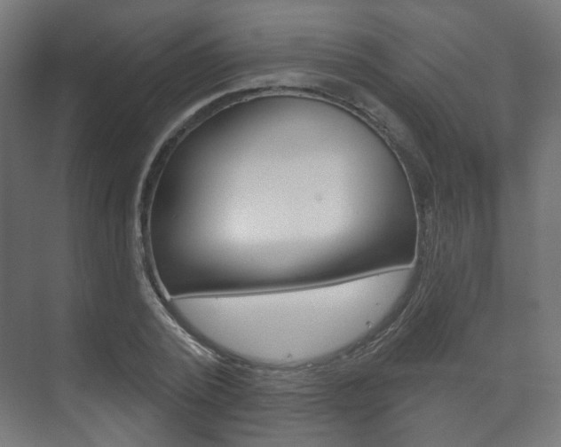 X0000073740784200608031108