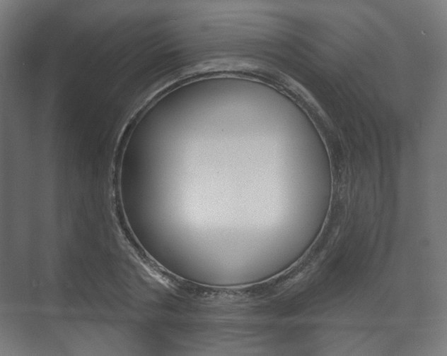 X0000073740786200608031108