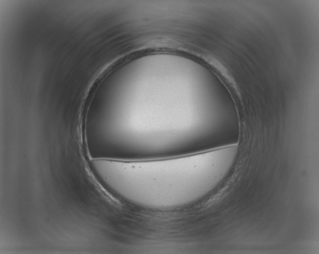 X0000073740791200608031108