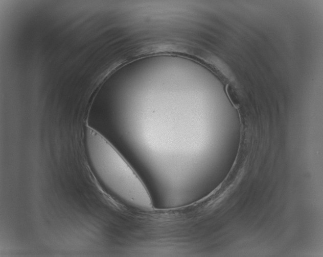 X0000073740793200608031108