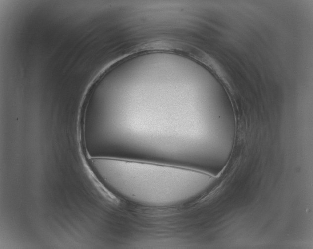 X0000073740795200608031108