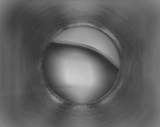 X0000073740801200608031108