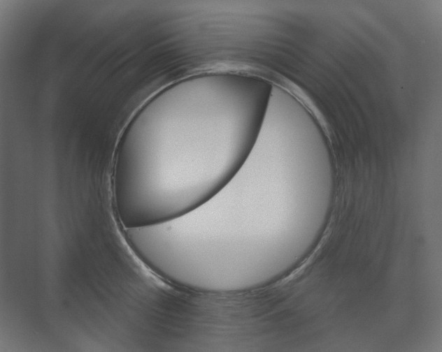 X0000073740810200608031108