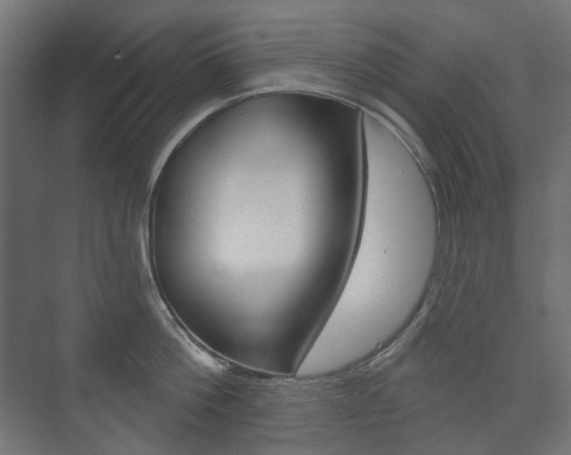 X0000073740812200608031108