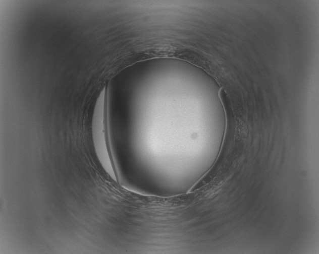 X0000073740818200608031107