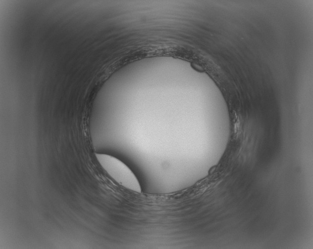 X0000073740819200608031107