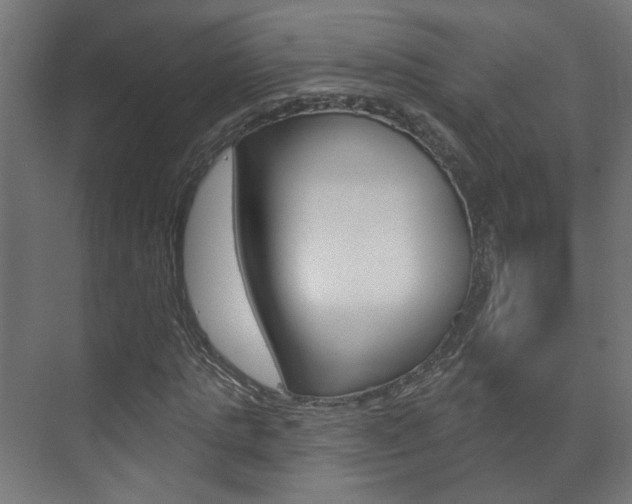 X0000073740821200608031107