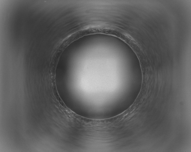 X0000073740822200608031107