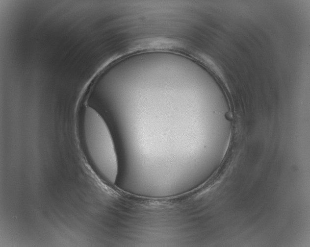 X0000073740835200608031107