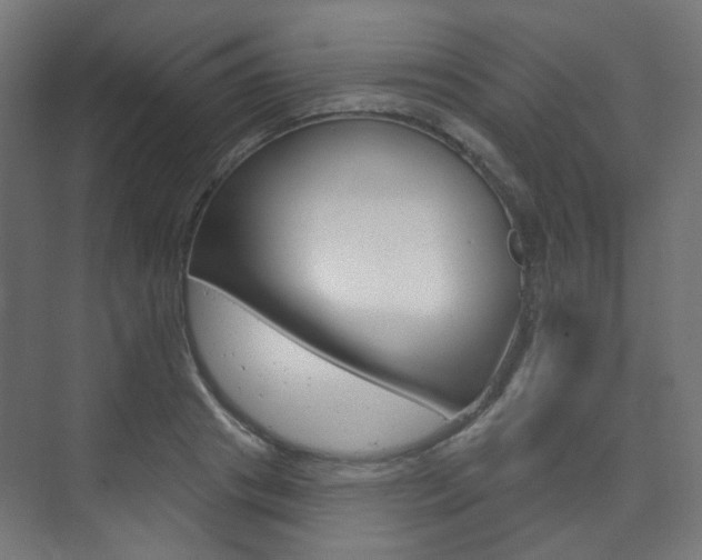X0000073740841200608031107