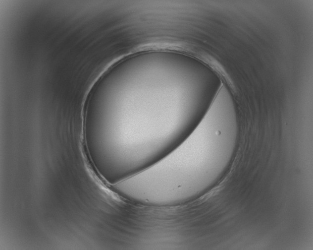 X0000073740844200608031107