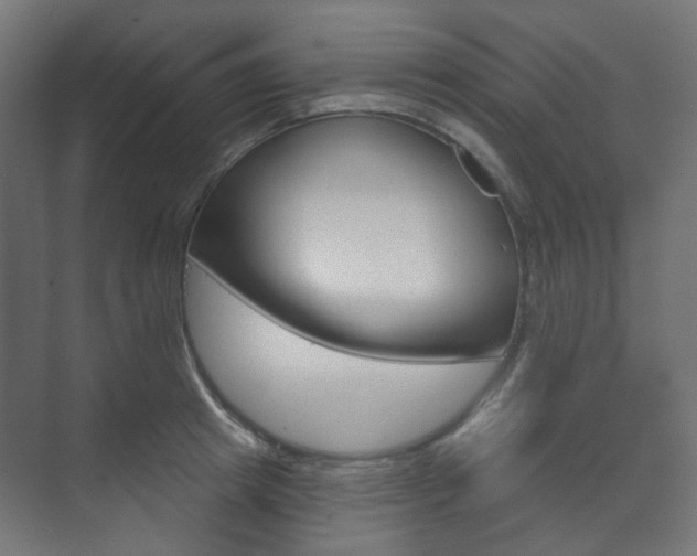 X0000073740849200608031107