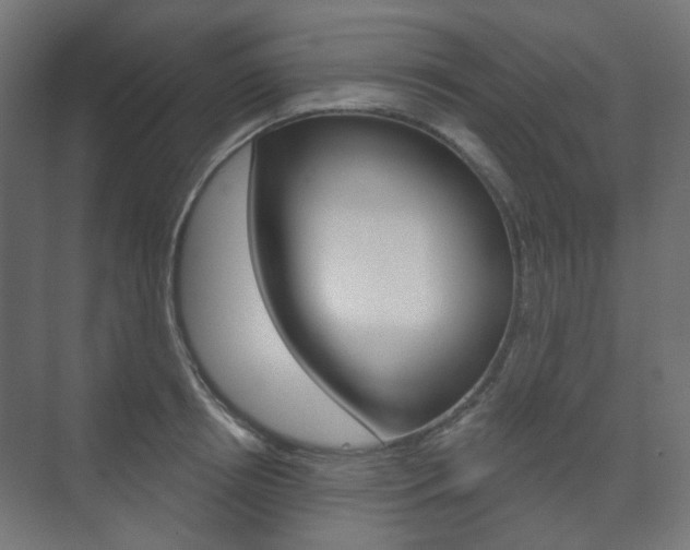 X0000073740850200608031107