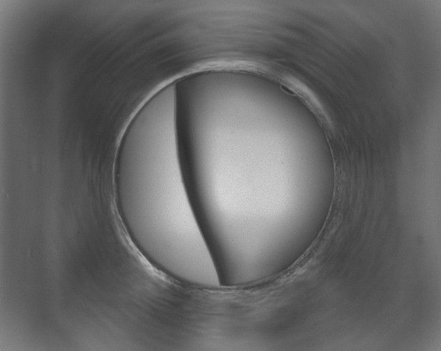 X0000073740852200608031108