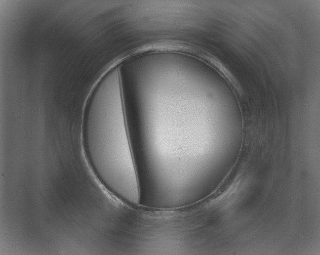 X0000073740853200608031108