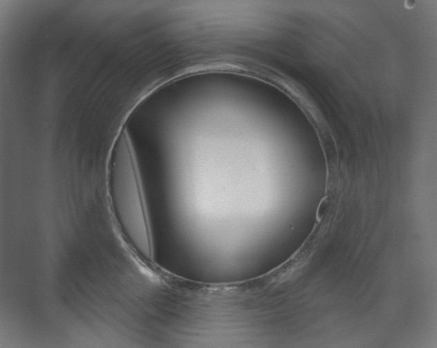 X0000073740858200608031108