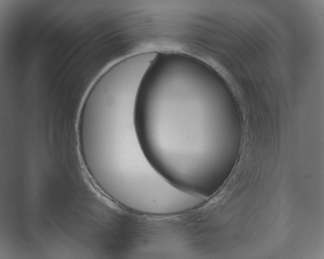 X0000073740864200608031108