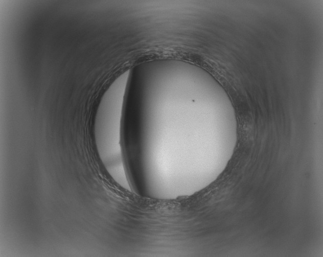 X0000073740865200608031107