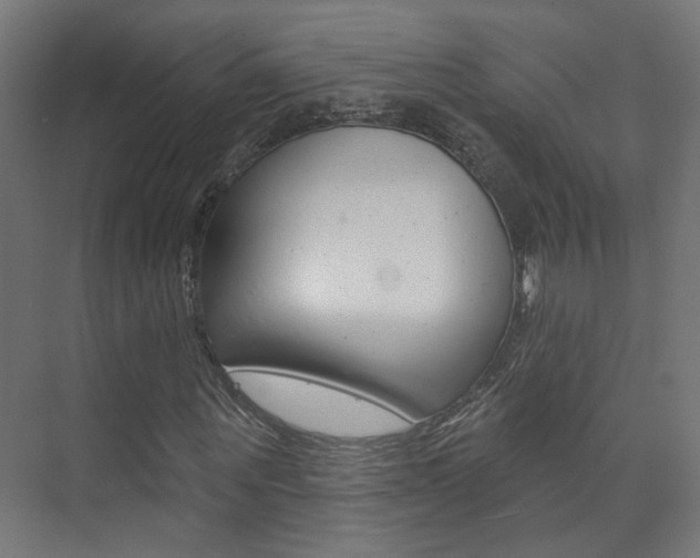 X0000073740867200608031107