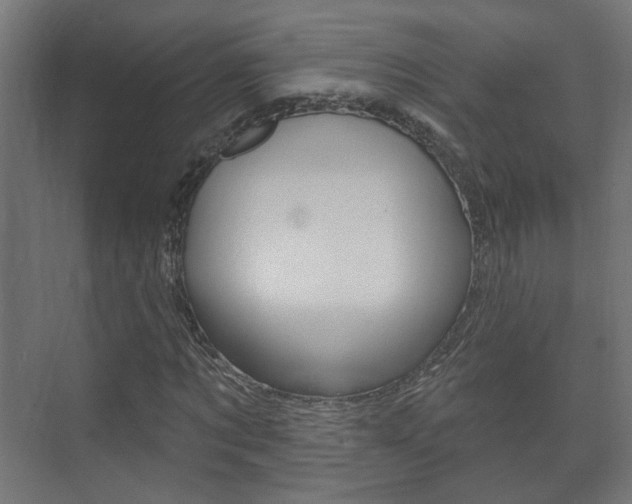 X0000073740869200608031107