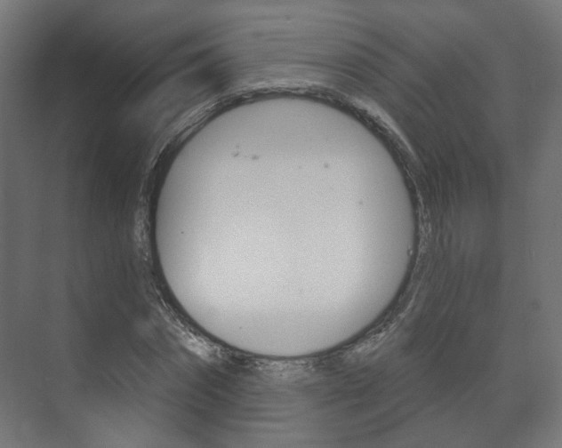 X0000073740874200608031107
